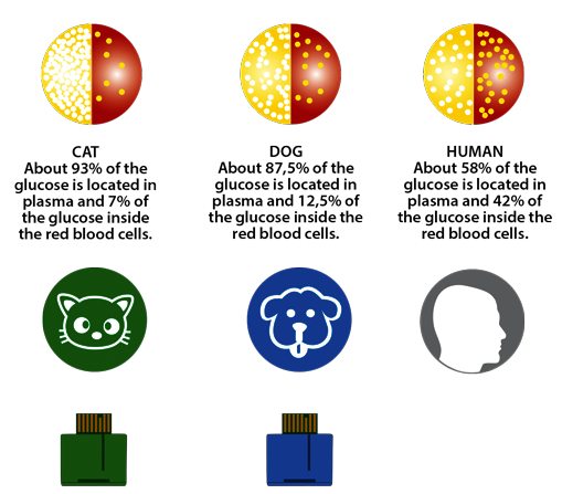 Verteilung von Glukose und Plasma im Blut Die Verteilung von Glukose und Plasma im Blut von Menschen und Tieren ist unterschiedlich.